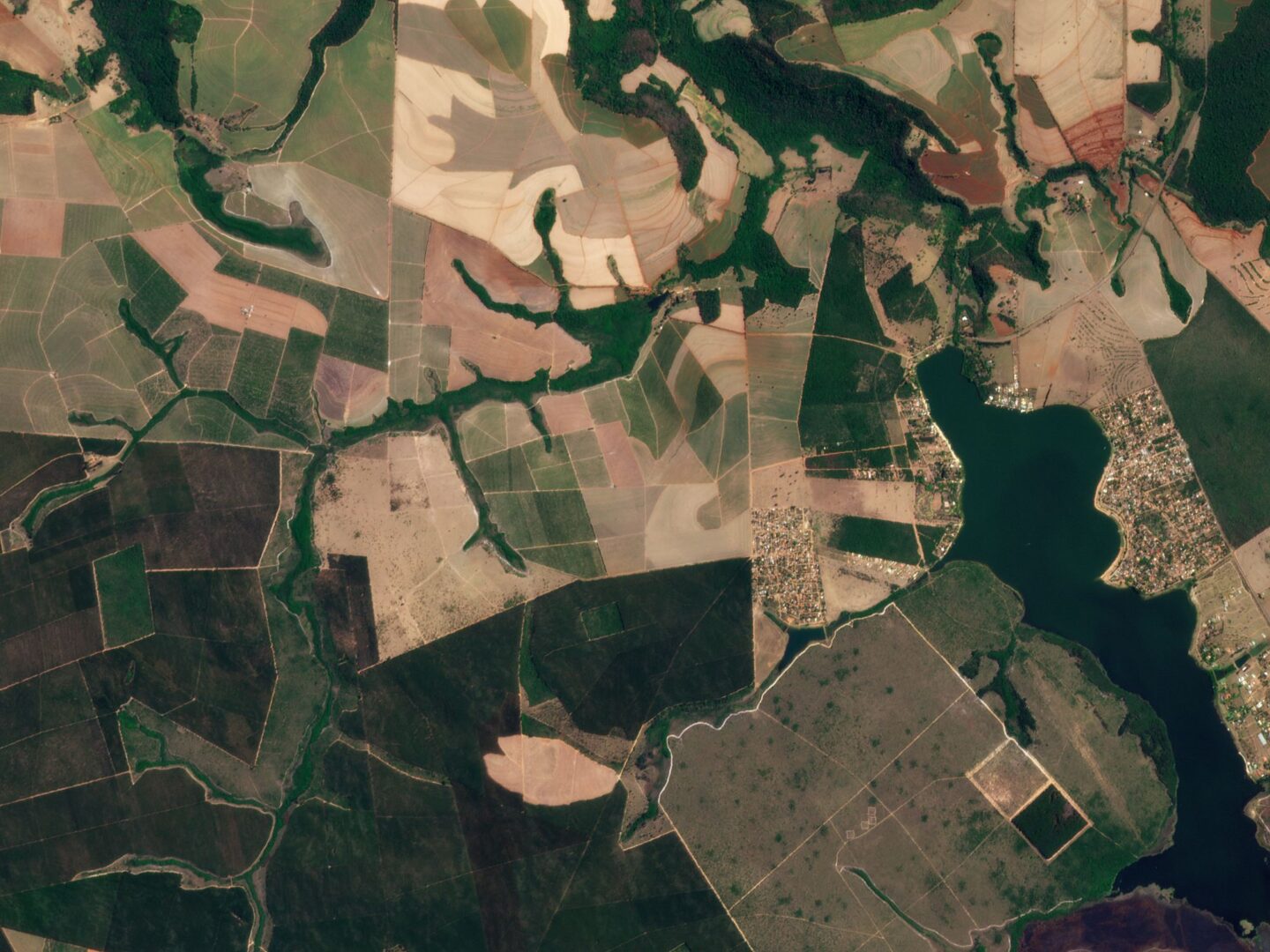agriculture_sao_carlos_brazil_20200927_2223_rgb_gallery_2000_flat_geo-2-full-2