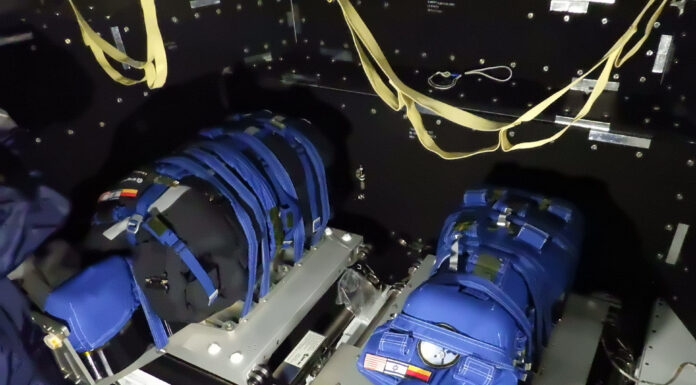 ‘Boarding’ for the Artemis I mission – Helga and Zohar are ready for their flight to the Moon