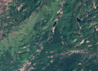 ERM and Planet Partner to Accelerate Nature-Based Solutions ...