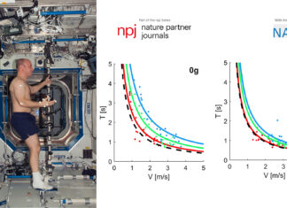 ASI: Mental Imagery of Object Motion in Weightlessness