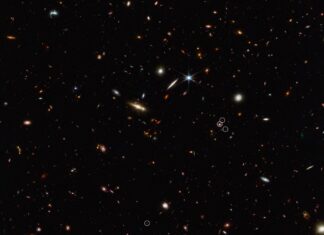 post_title%: NASA's Webb Telescope Discovers the Earliest Traces of the Cosmic Web