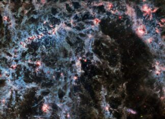 Raytheon Technologies' Team Honored with NASA Award for JWST Subsystem