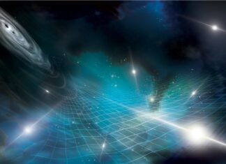 New Findings from 15 Years of Radio Data Unveil Space-Time Murmur