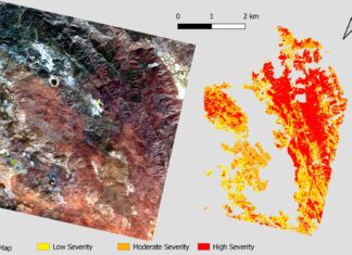 PRISMA: Utilizing ASI for Fire Severity Map Extraction