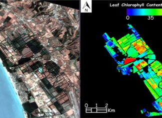 ASI: Utilizing PRISMA for Vegetation Indicator Retrieval