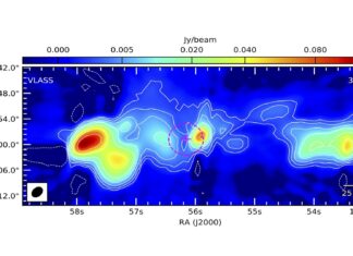 The Growing Population of Radio Galaxies in the Gamma-Ray Sky of INTEGRAL and Fermi - ASI