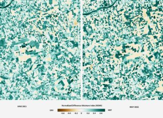 World Day to Combat Desertification and Drought 17/06/2022: PRISMA's Initiative for "Uniting Against Drought" - ASI