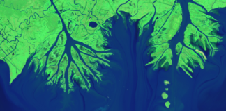 A Guide on NDVI, NDWI and Derived Bands - Arlula