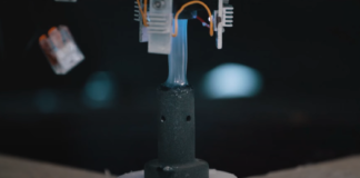 CATAPULT Chooses DCUBED as 1 of 2 Top Tier Innovators into ESA BSGN IMA Accelerator Program for In Space Manufacturing - DCUBED