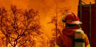 Internet of Things (IoT) and forest fires detection [1/2] - KINEIS