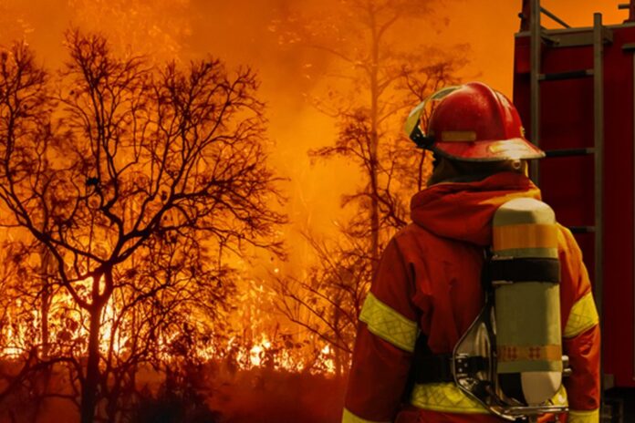 Internet of Things (IoT) and forest fires detection [1/2] - KINEIS