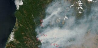 Use Case: Disaster Management - Arlula